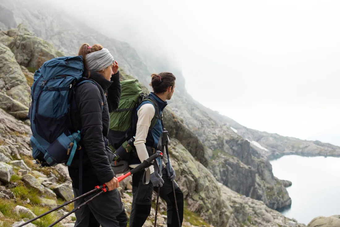 Hiking Pole x1 - Hike 500