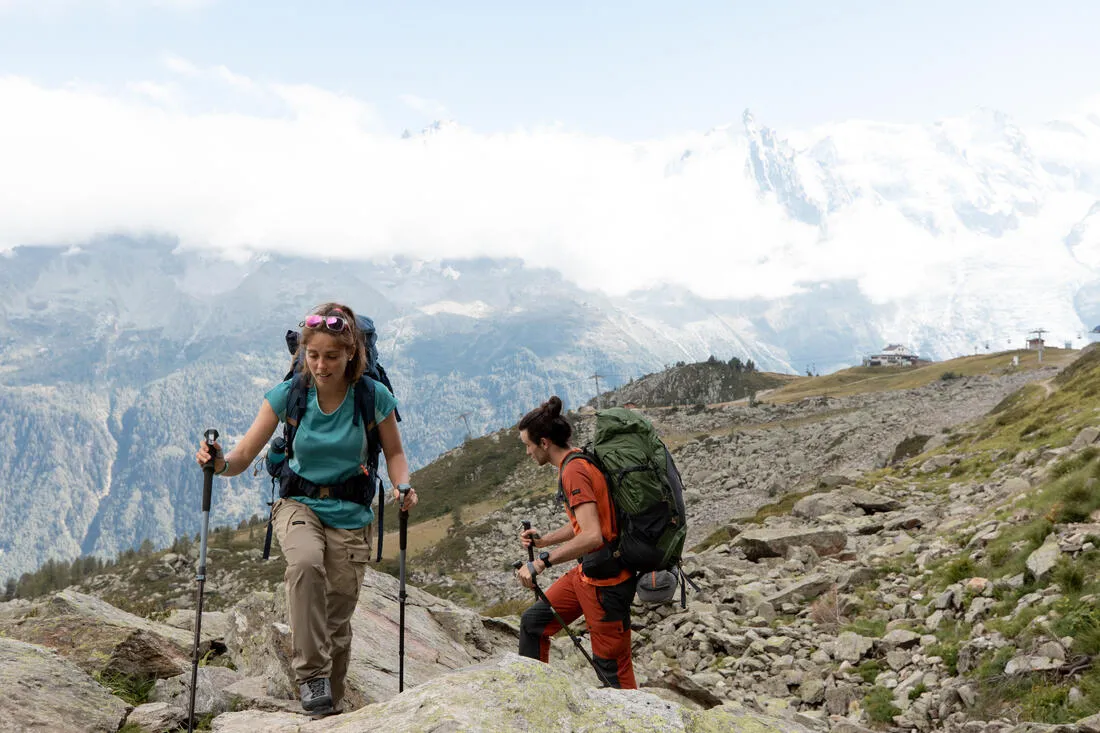 Hiking Pole x1 - Hike 500