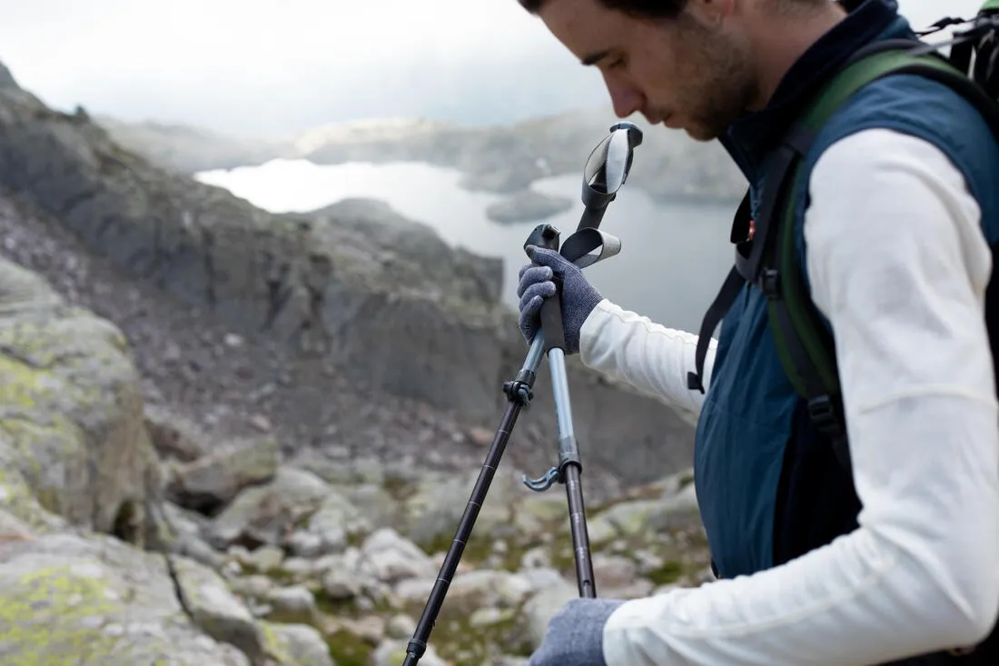 Hiking Pole x1 - Hike 500
