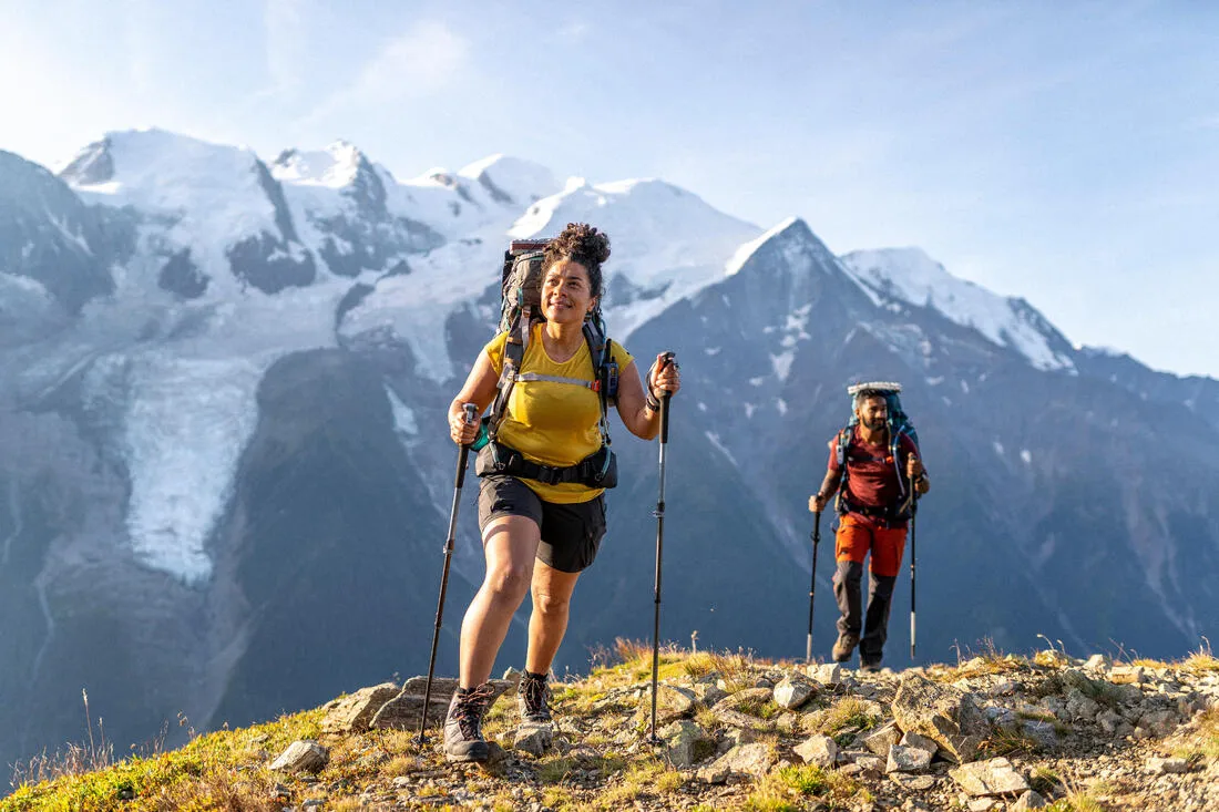 Hiking Pole x1 - Hike 500