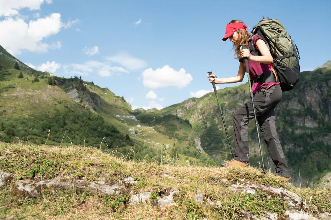 Hiking Pole x1 - Hike 500
