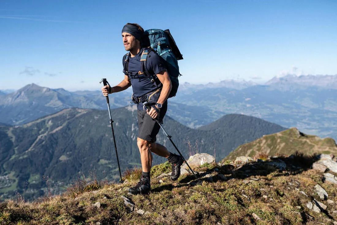 Hiking Pole x1 - Hike 500