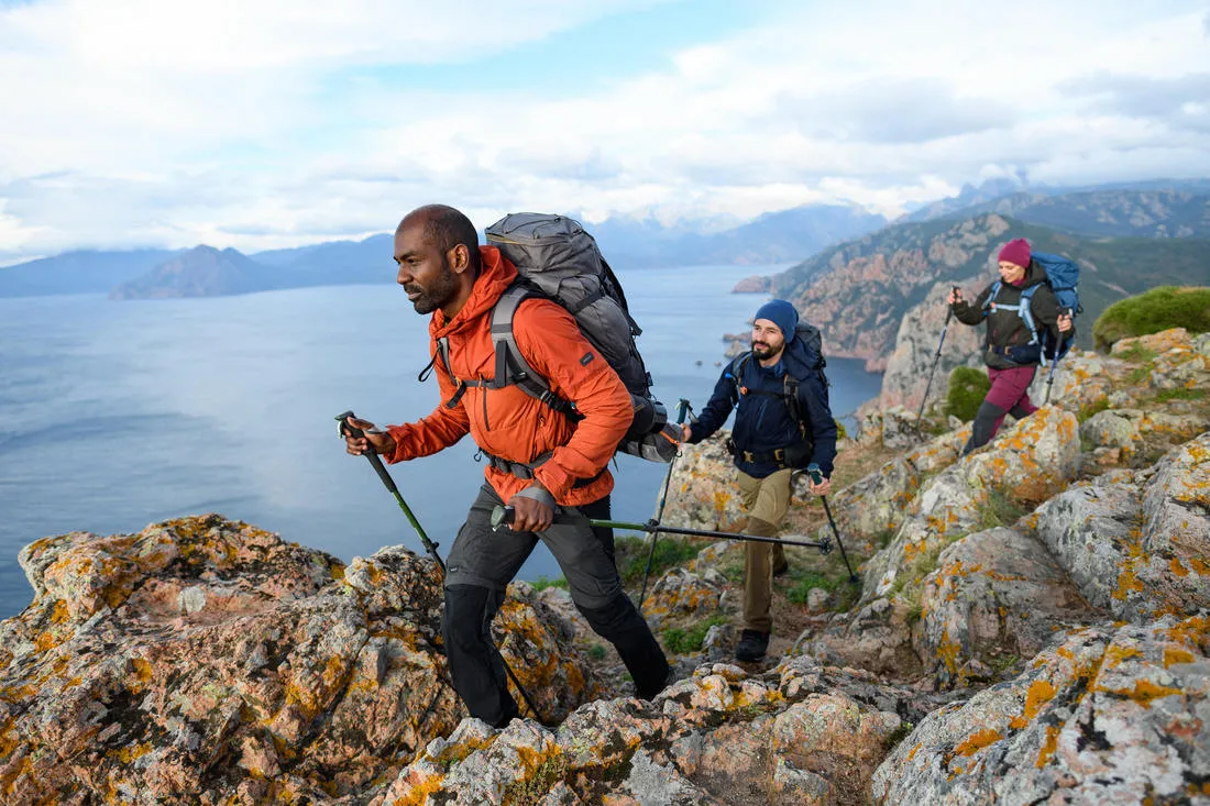 Hiking Pole x1 - Hike 500