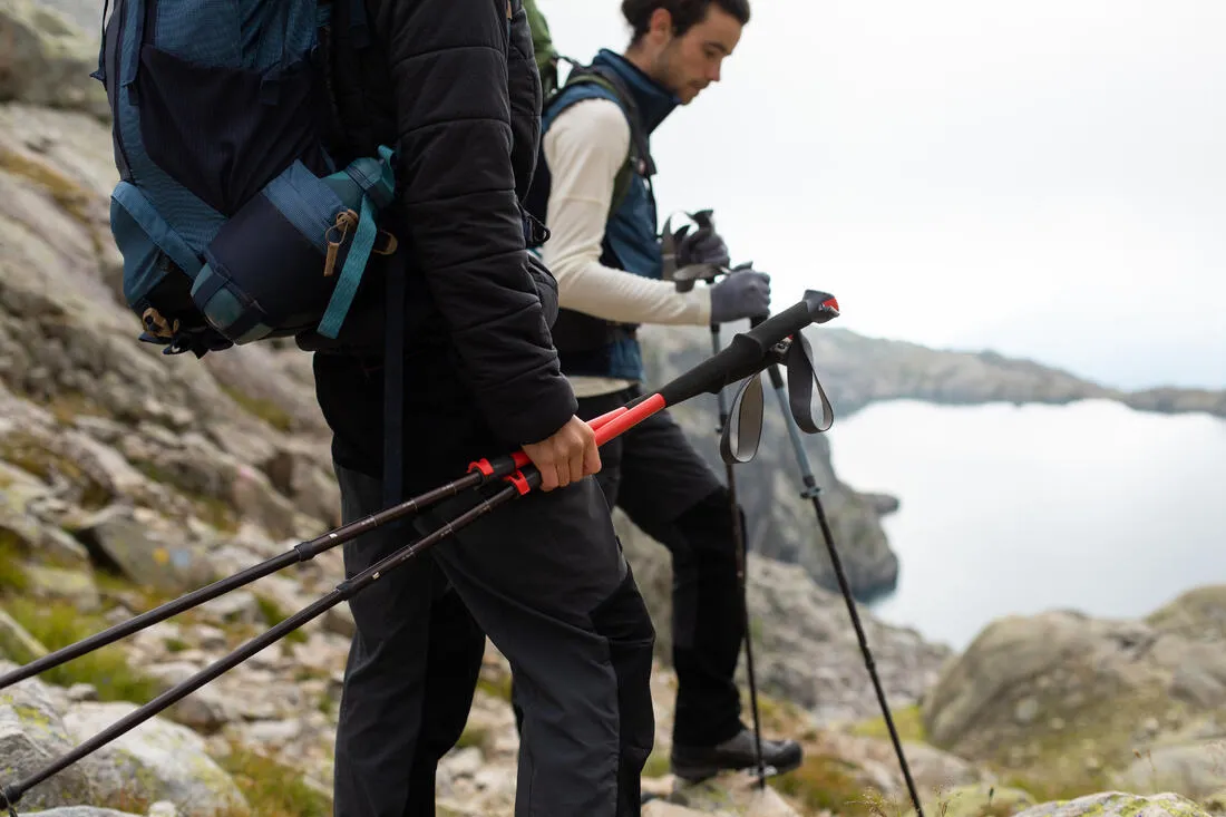 Hiking Pole x1 - Hike 500