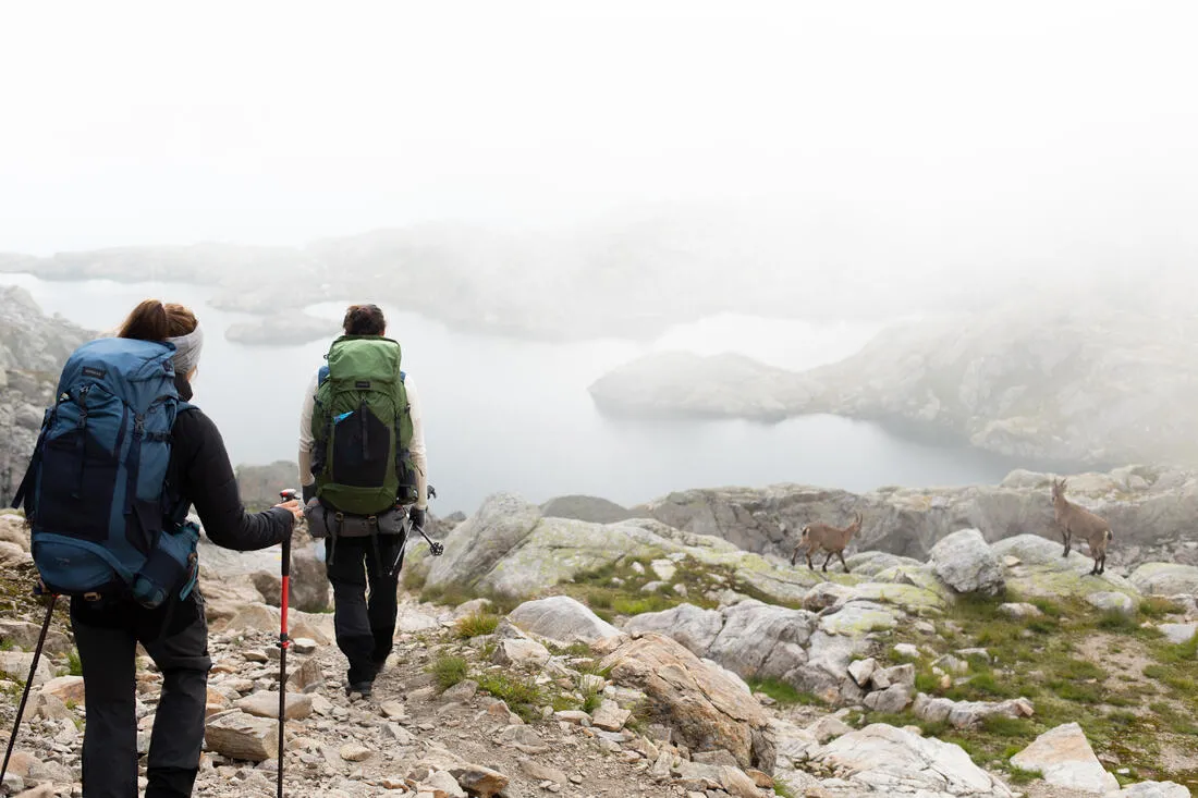 Hiking Pole x1 - Hike 500