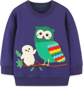 Toddler Girls Sweatshirt Owl Shirts for Girls Winter Long Sleeve Crewneck Pullover Tops Cotton Nighthawk Clothes Baby Girls Owl Sweater 4T